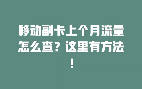 移动副卡上个月流量怎么查？这里有方法！