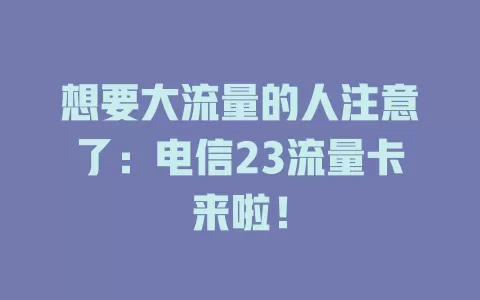 想要大流量的人注意了：电信23流量卡来啦！