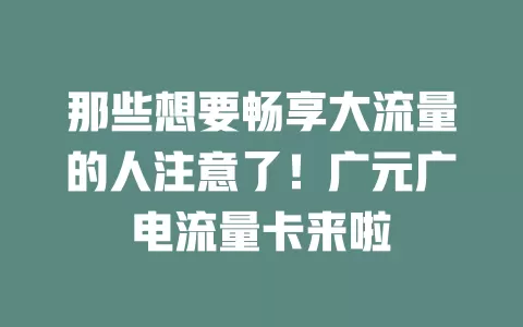那些想要畅享大流量的人注意了！广元广电流量卡来啦