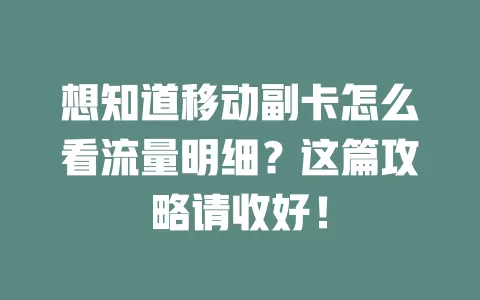 想知道移动副卡怎么看流量明细？这篇攻略请收好！