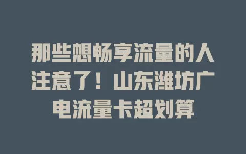 那些想畅享流量的人注意了！山东潍坊广电流量卡超划算