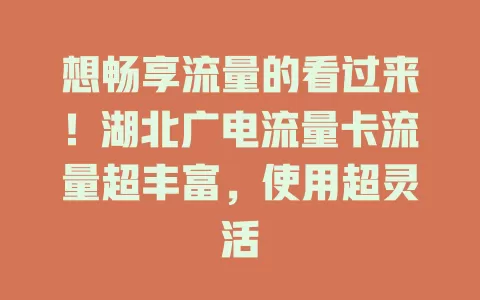 想畅享流量的看过来！湖北广电流量卡流量超丰富，使用超灵活