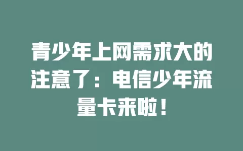 青少年上网需求大的注意了：电信少年流量卡来啦！