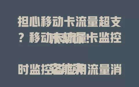 担心移动卡流量超支？移动卡流量卡监控来帮你！

它能实时监控各应用流量消耗，避免超标。还能提前规划，套餐快用完时调整。手机系统和运营商 APP 多种监控方式超方便，让你安心畅享数字生活，合理用流不花冤枉钱。