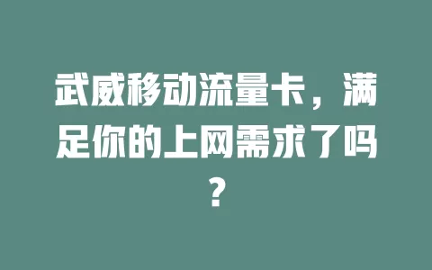 武威移动流量卡，满足你的上网需求了吗？