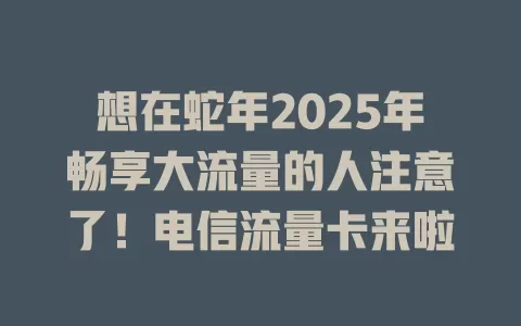 想在蛇年2025年畅享大流量的人注意了！电信流量卡来啦