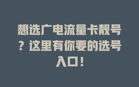 想选广电流量卡靓号？这里有你要的选号入口！