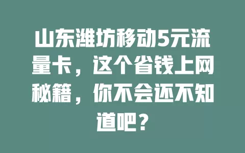 山东潍坊移动5元流量卡，这个省钱上网秘籍，你不会还不知道吧？