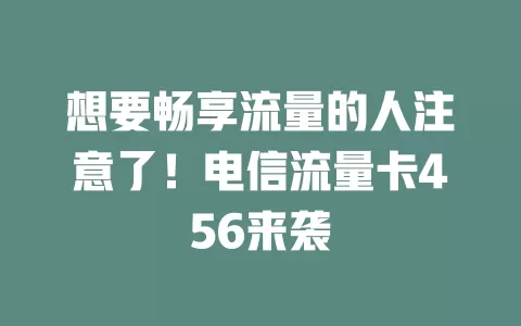 想要畅享流量的人注意了！电信流量卡456来袭