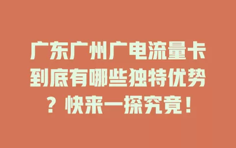 广东广州广电流量卡到底有哪些独特优势？快来一探究竟！