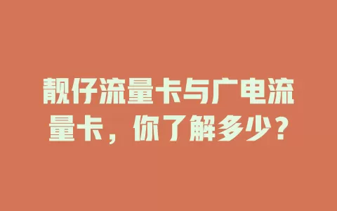靓仔流量卡与广电流量卡，你了解多少？