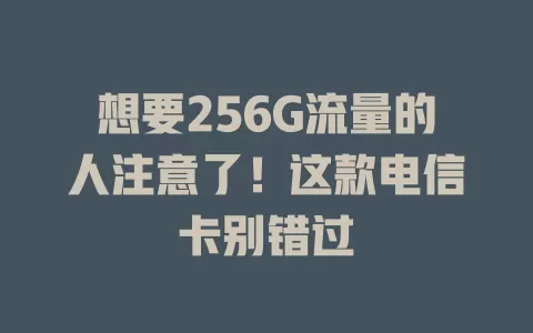 想要256G流量的人注意了！这款电信卡别错过