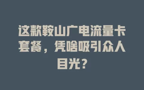 这款鞍山广电流量卡套餐，凭啥吸引众人目光？