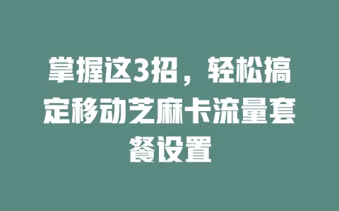 掌握这3招，轻松搞定移动芝麻卡流量套餐设置