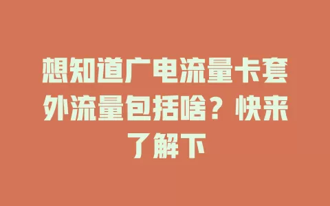 想知道广电流量卡套外流量包括啥？快来了解下
