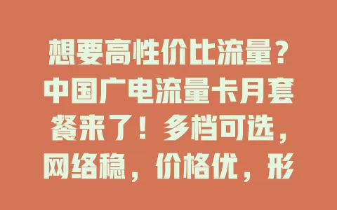 想要高性价比流量？中国广电流量卡月套餐来了！多档可选，网络稳，价格优，形式灵活，满足流量需求