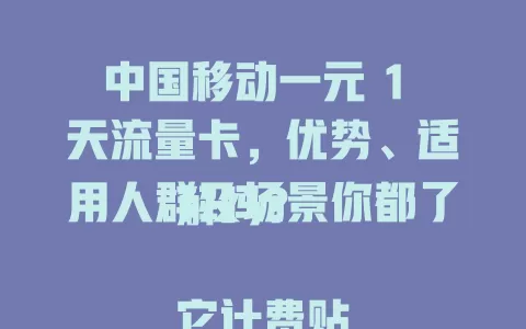 中国移动一元 1 天流量卡，优势、适用人群及场景你都了解吗？

它计费贴心，按天算超精准，告别流量烦恼。商务、年轻群体、学生党都适用，日常通勤、出差、出游各场景皆能满足，是流量使用优质之选，带来便利实惠