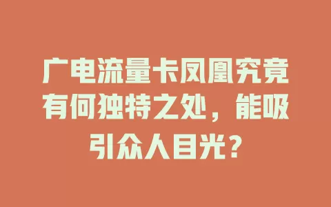 广电流量卡凤凰究竟有何独特之处，能吸引众人目光？