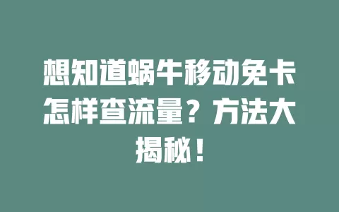 想知道蜗牛移动免卡怎样查流量？方法大揭秘！