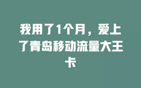 我用了1个月，爱上了青岛移动流量大王卡