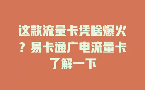 这款流量卡凭啥爆火？易卡通广电流量卡了解一下