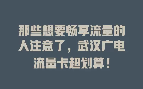 那些想要畅享流量的人注意了，武汉广电流量卡超划算！