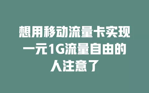 想用移动流量卡实现一元1G流量自由的人注意了