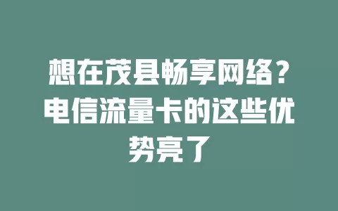想在茂县畅享网络？电信流量卡的这些优势亮了
