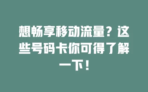 想畅享移动流量？这些号码卡你可得了解一下！
