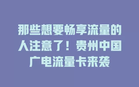 那些想要畅享流量的人注意了！贵州中国广电流量卡来袭
