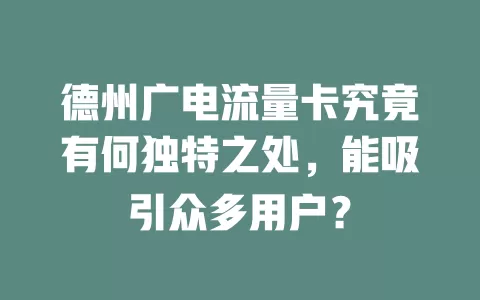 德州广电流量卡究竟有何独特之处，能吸引众多用户？