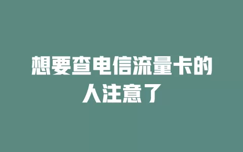 想要查电信流量卡的人注意了