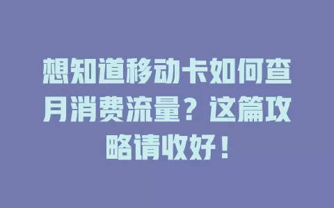 想知道移动卡如何查月消费流量？这篇攻略请收好！