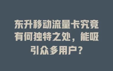 东升移动流量卡究竟有何独特之处，能吸引众多用户？