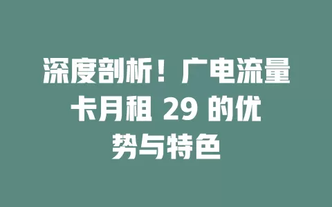 深度剖析！广电流量卡月租 29 的优势与特色