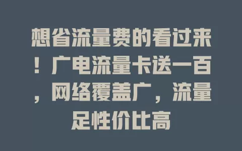 想省流量费的看过来！广电流量卡送一百，网络覆盖广，流量足性价比高
