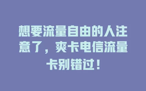 想要流量自由的人注意了，爽卡电信流量卡别错过！