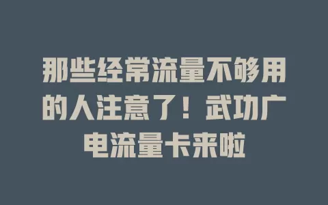 那些经常流量不够用的人注意了！武功广电流量卡来啦