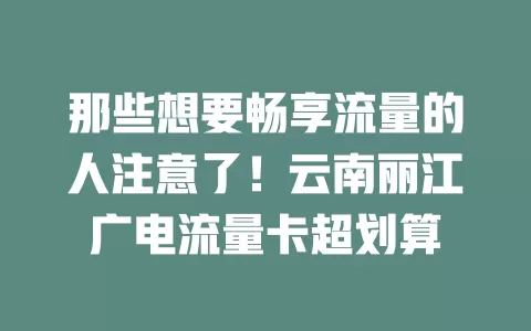 那些想要畅享流量的人注意了！云南丽江广电流量卡超划算