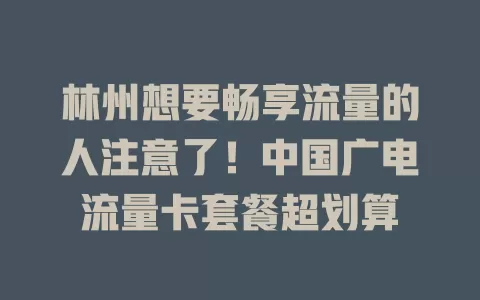 林州想要畅享流量的人注意了！中国广电流量卡套餐超划算