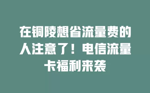 在铜陵想省流量费的人注意了！电信流量卡福利来袭