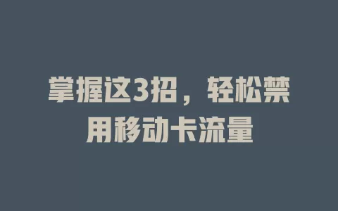 掌握这3招，轻松禁用移动卡流量