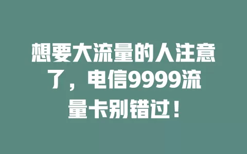 想要大流量的人注意了，电信9999流量卡别错过！