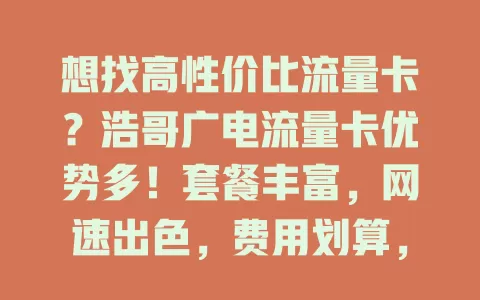 想找高性价比流量卡？浩哥广电流量卡优势多！套餐丰富，网速出色，费用划算，服务有保障，助你网络之旅更顺畅