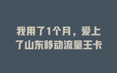 我用了1个月，爱上了山东移动流量王卡