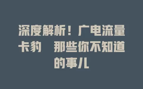 深度解析！广电流量卡豹澥那些你不知道的事儿