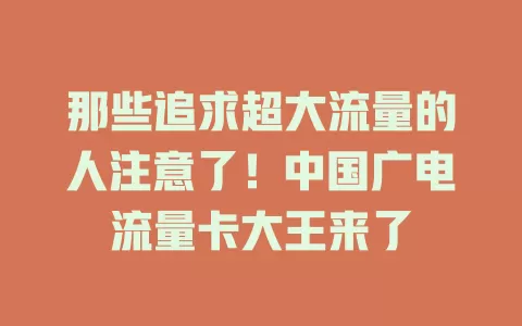 那些追求超大流量的人注意了！中国广电流量卡大王来了