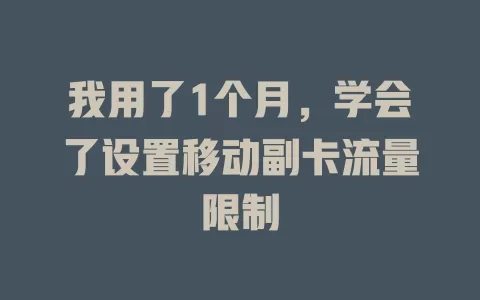 我用了1个月，学会了设置移动副卡流量限制