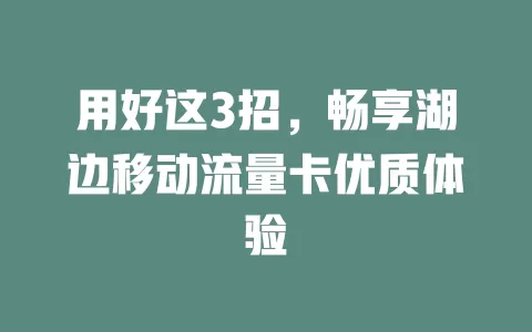 用好这3招，畅享湖边移动流量卡优质体验