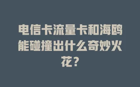 电信卡流量卡和海鸥能碰撞出什么奇妙火花？